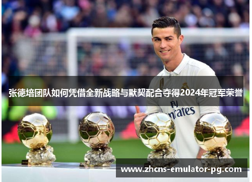 张德培团队如何凭借全新战略与默契配合夺得2024年冠军荣誉